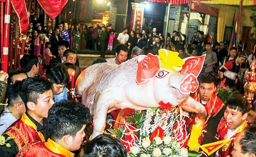 le hoi hai phong