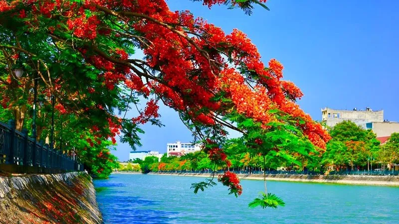 LỄ HỘI Ở HẢI PHÒNG