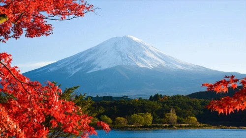 TOUR DL MÙA THU NÚI PHÚ SĨ -TOKYO- NAGOYA
