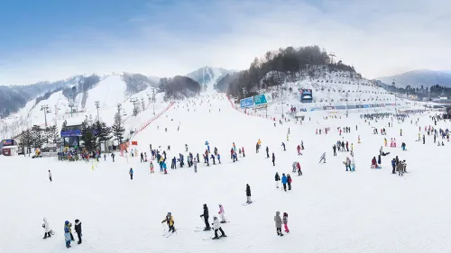 Tour tết đón tuyết rơi