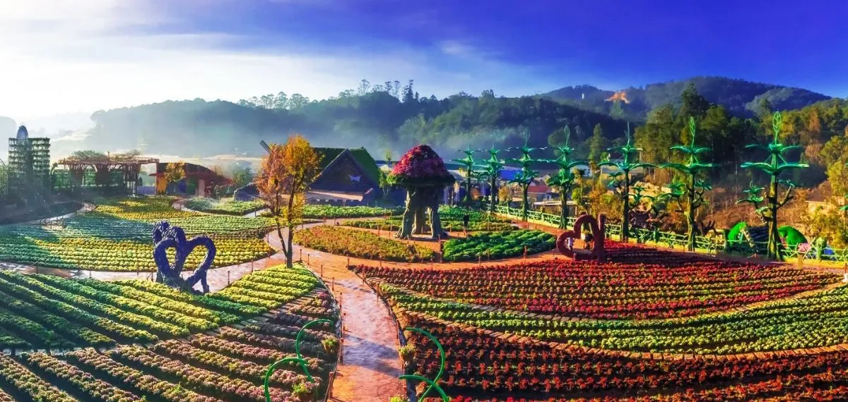 banner_mobile
