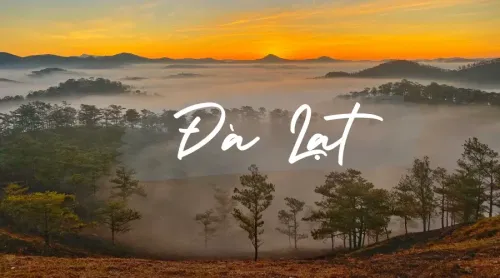 TOUR DU LỊCH ĐÀ LẠT 2 NGÀY - 2 ĐÊM