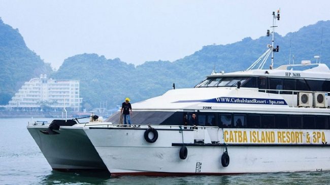 Tàu Cát Bà Island là cái tên được nhiều du khách tin tưởng