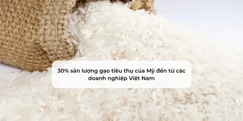 LÚA GẠO
