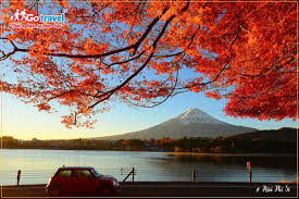Image Bg