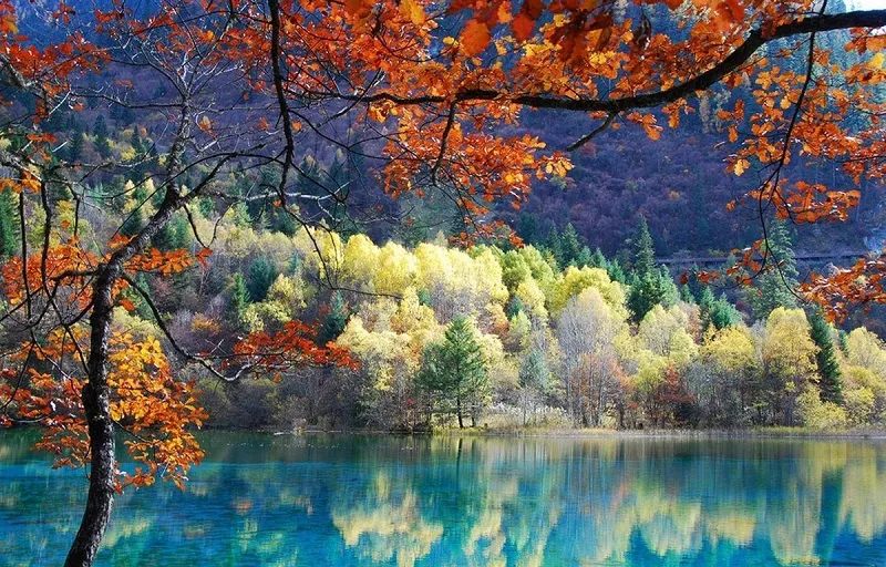 banner_mobile