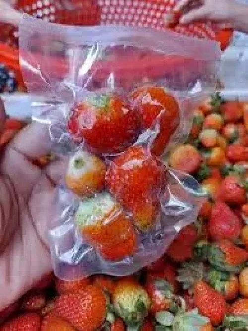 RAU CỦ QUẢ ĐÔNG LẠNH