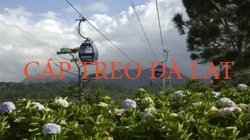 ĐẶT VÉ CÁP TREO ĐÀ LẠT
